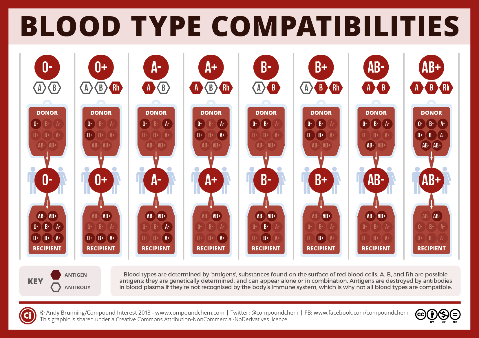 Blood Types Project Lovelace